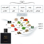 ادکلن بلوشنل مردانه - 02